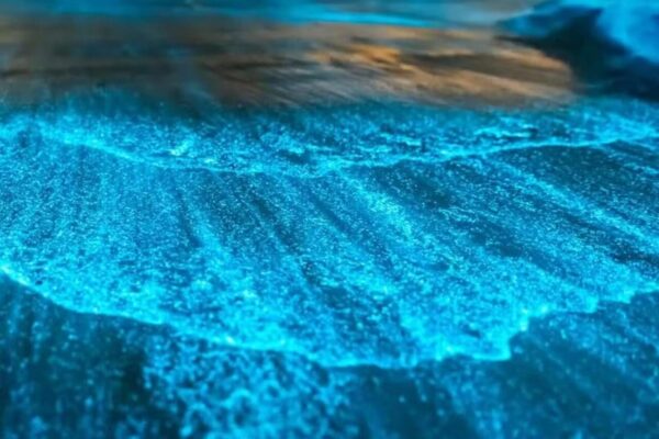 Fenômeno luminoso surpreende remadores e ilumina a noite na Lagoa Jacaroá, em Maricá, com feixes azuis e beleza surreal.