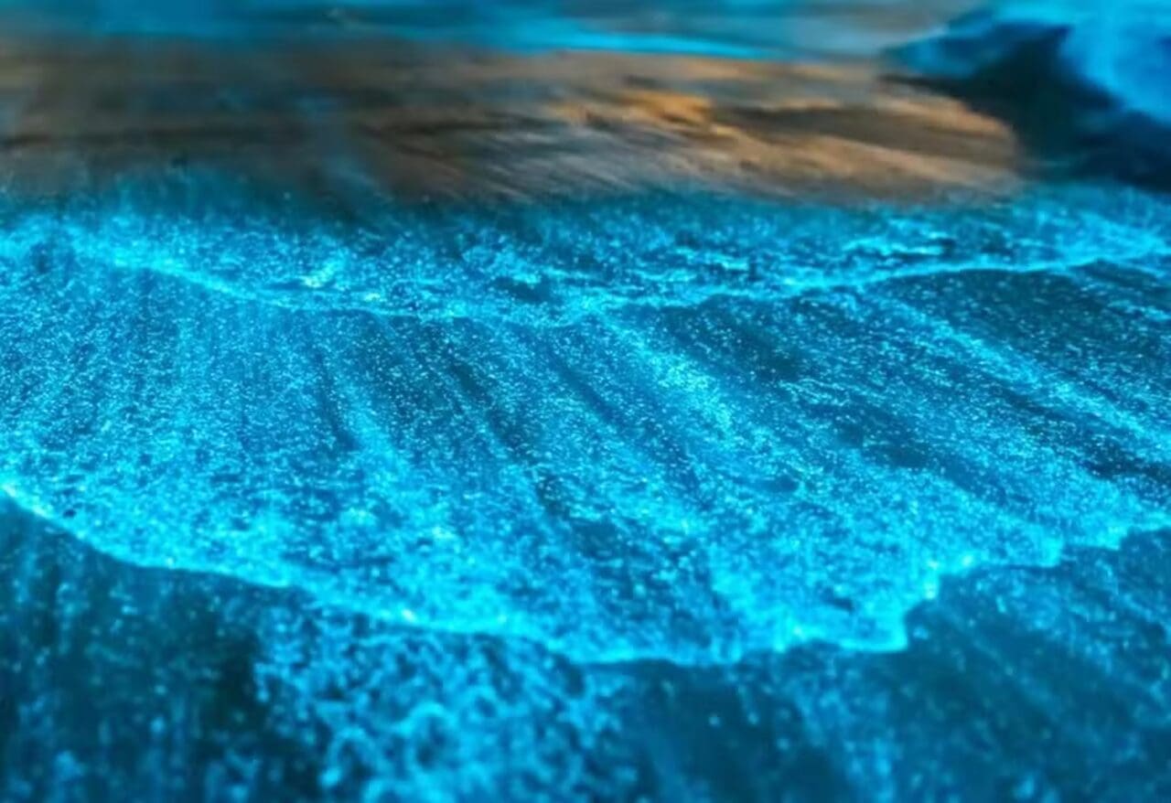 Fenômeno luminoso surpreende remadores e ilumina a noite na Lagoa Jacaroá, em Maricá, com feixes azuis e beleza surreal.