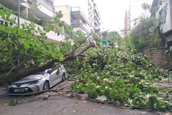 A rua Almirante Saddock de Sá, em Ipanema, está interditada, na altura da rua Gorceix, em função de uma queda de árvore. CET-Rio, Comlurb e Guarda Municipal no local.