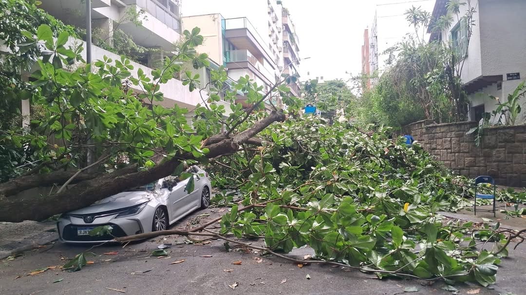 A rua Almirante Saddock de Sá, em Ipanema, está interditada, na altura da rua Gorceix, em função de uma queda de árvore. CET-Rio, Comlurb e Guarda Municipal no local.