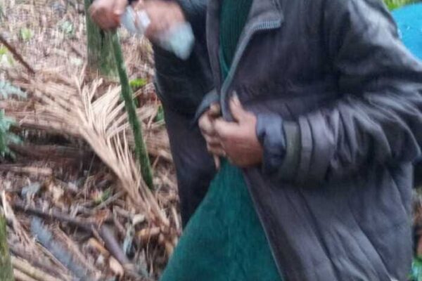 Adagmar foi encontrada dentro de mata em São Pedro da Serra depois de seis dias desaparecida em Nova Friburgo