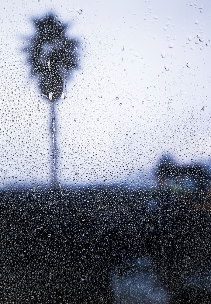 Água da chuva pode ter coloração escura causada pela poluição das queimadas