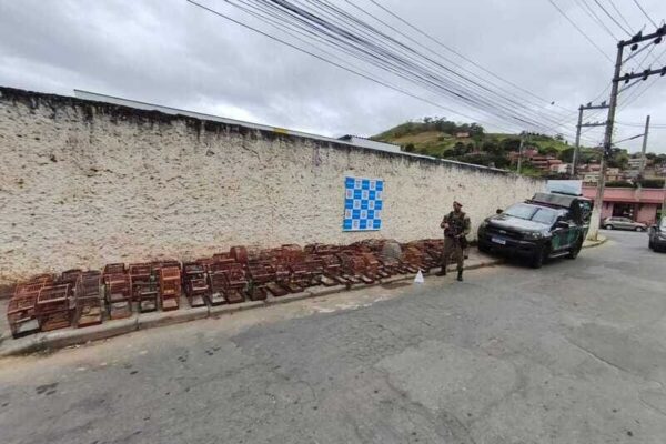 Animais silvestres mantidos em cativeiros são apreendidos pela Polícia Ambiental em Paraíba do Sul-RJ