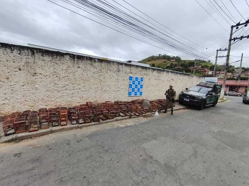Animais silvestres mantidos em cativeiros são apreendidos pela Polícia Ambiental em Paraíba do Sul-RJ