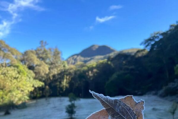 Arquivo - Geada no Parque Estadual dos Três Picos em NOva Friburgo marca recorde de temperatura (2)