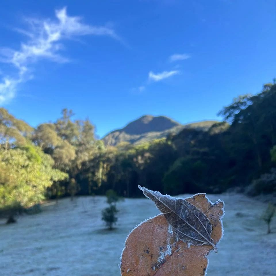 Arquivo - Geada no Parque Estadual dos Três Picos em NOva Friburgo marca recorde de temperatura (2)