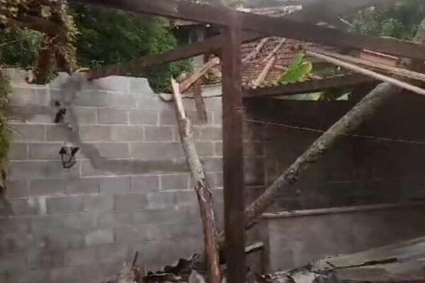 Árvore cai e destrói casa na Ponte da Saudade em Nova Friburgo