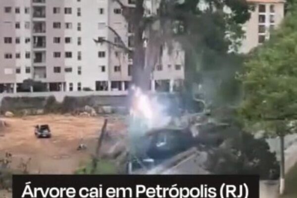 Árvore cai em Petrópolis e leva fiação de luz junto causando explosão