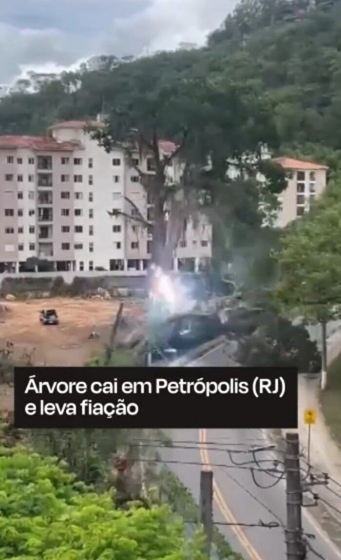 Árvore cai em Petrópolis e leva fiação de luz junto causando explosão