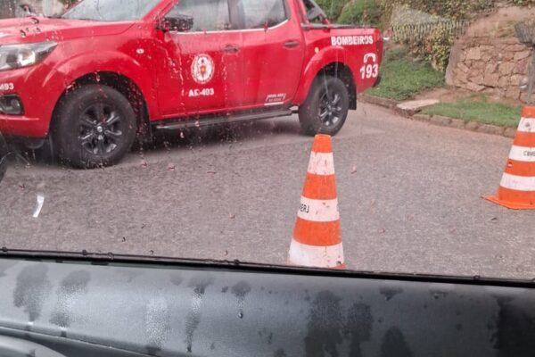 Árvore cai nas Braunes e interdita entrada do Parque Santa Eliza em Nova Friburgo