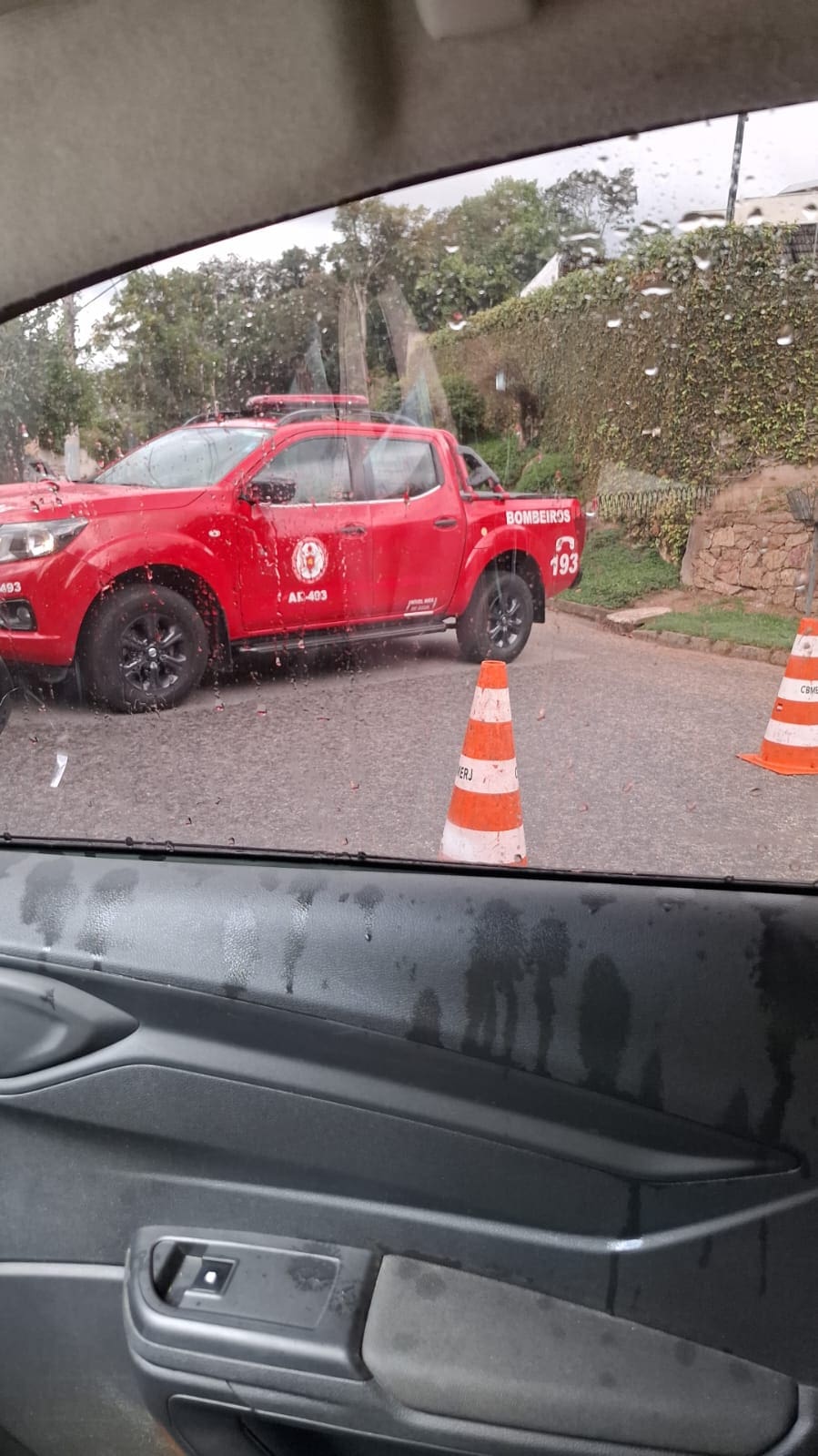 Árvore cai nas Braunes e interdita entrada do Parque Santa Eliza em Nova Friburgo