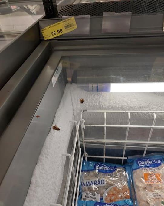 Baratas em supermercado de Nova Friburgo viralizam