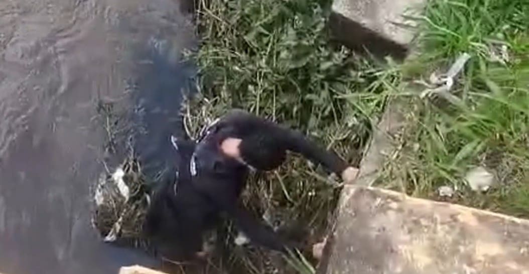 Ciclista cai dentro do Rio de Bengalas em Nova Friburgo e precisa ser resgatado