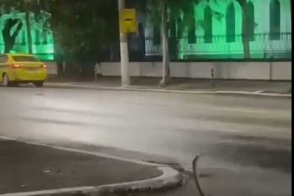 Cobra é avistada em Realengo, na Vila Militar, no Rio de Janeiro