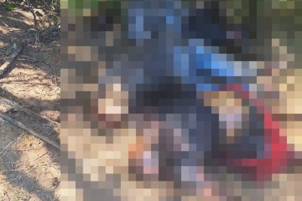 Corpos de 4 jovens desaparecidos são encontrados carbonizados