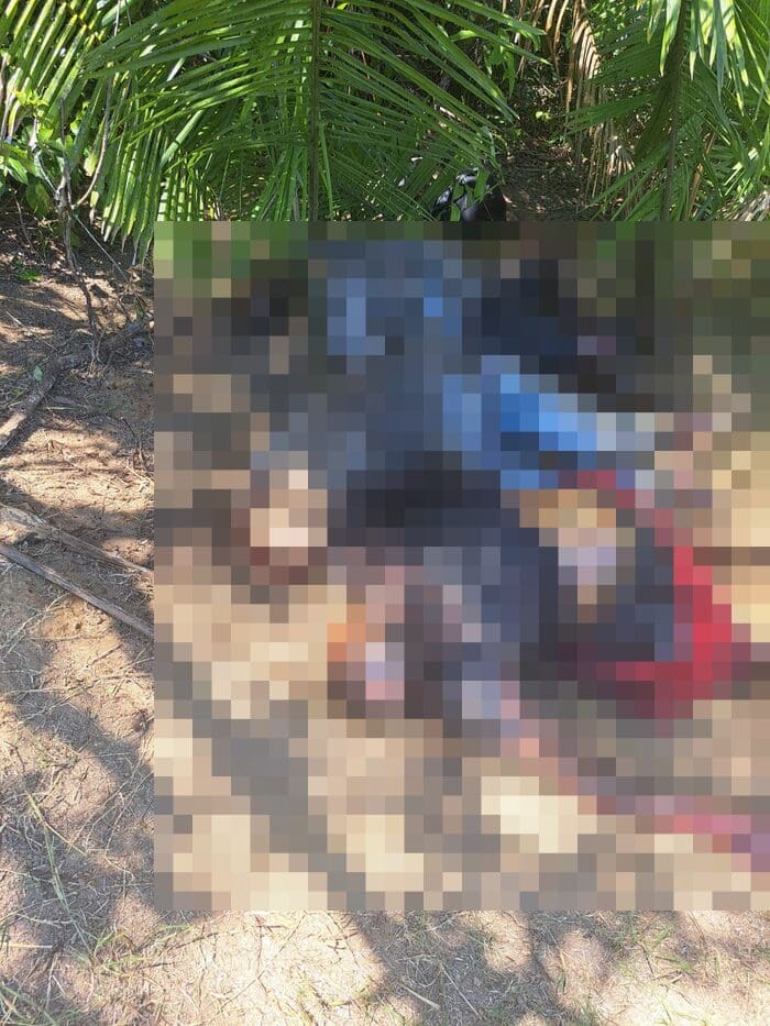 Corpos de 4 jovens desaparecidos são encontrados carbonizados