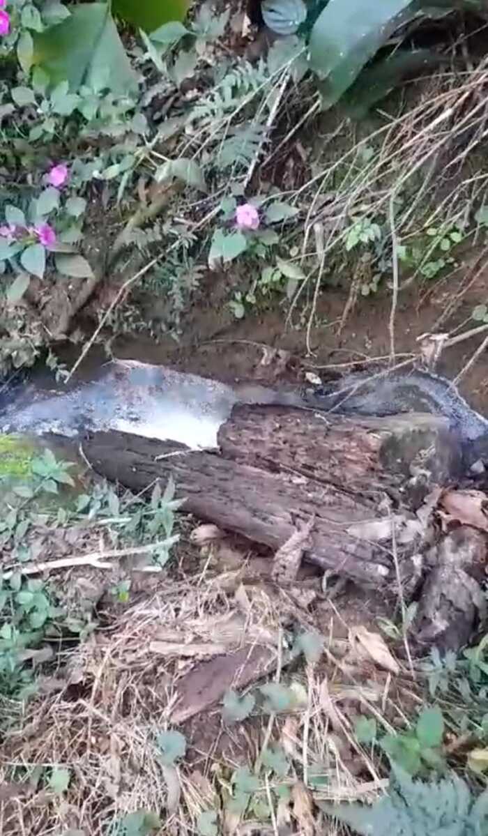 Esgoto a céu aberto seria de Espaço Regenesis em Mury - Nova Friburgo-Rj