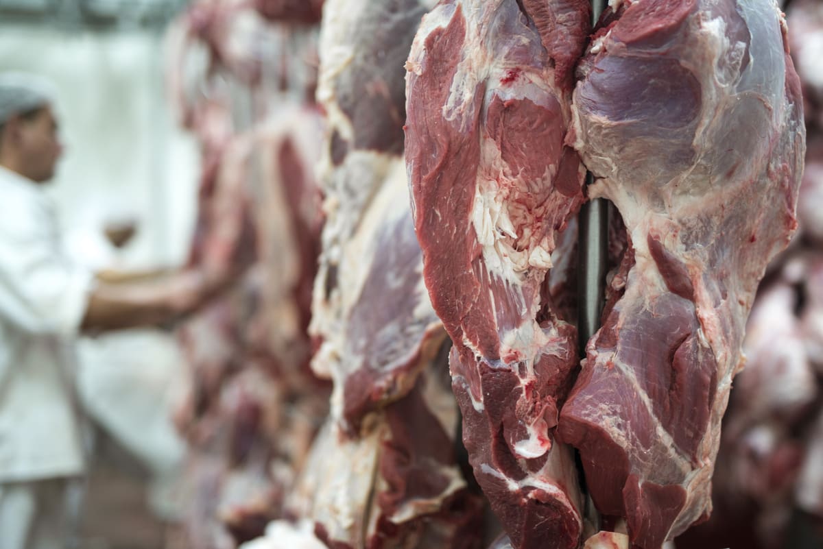 Estabelecimento que comercializa carnes recebeu duas multas por violações sanitárias, em Nova Friburgo-RJ
