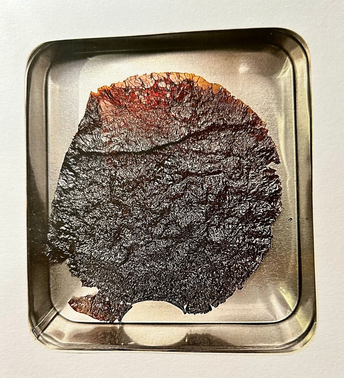 Exposição (tudo aqui é uma dedicatória) - Trabalho Bio Abstract Galeria Eixo Reserva - Niterói até 25 de agosto