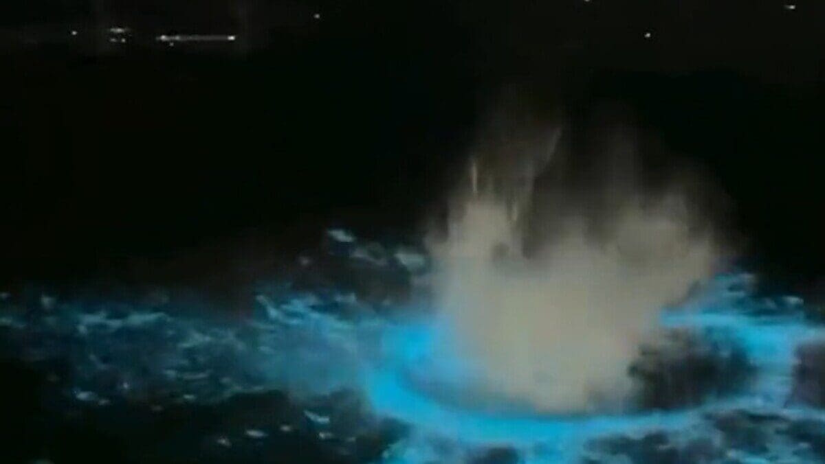 Fenômeno da Bioluminescência encanta moradores e turistas de Arraial do Cabo, na região dos lagos do Estado do Rio de Janeiro