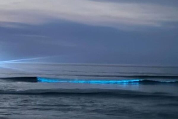 Fenômeno da bioluminescência é registrado na Praia Grande, em Arraial do Cabo-RJ