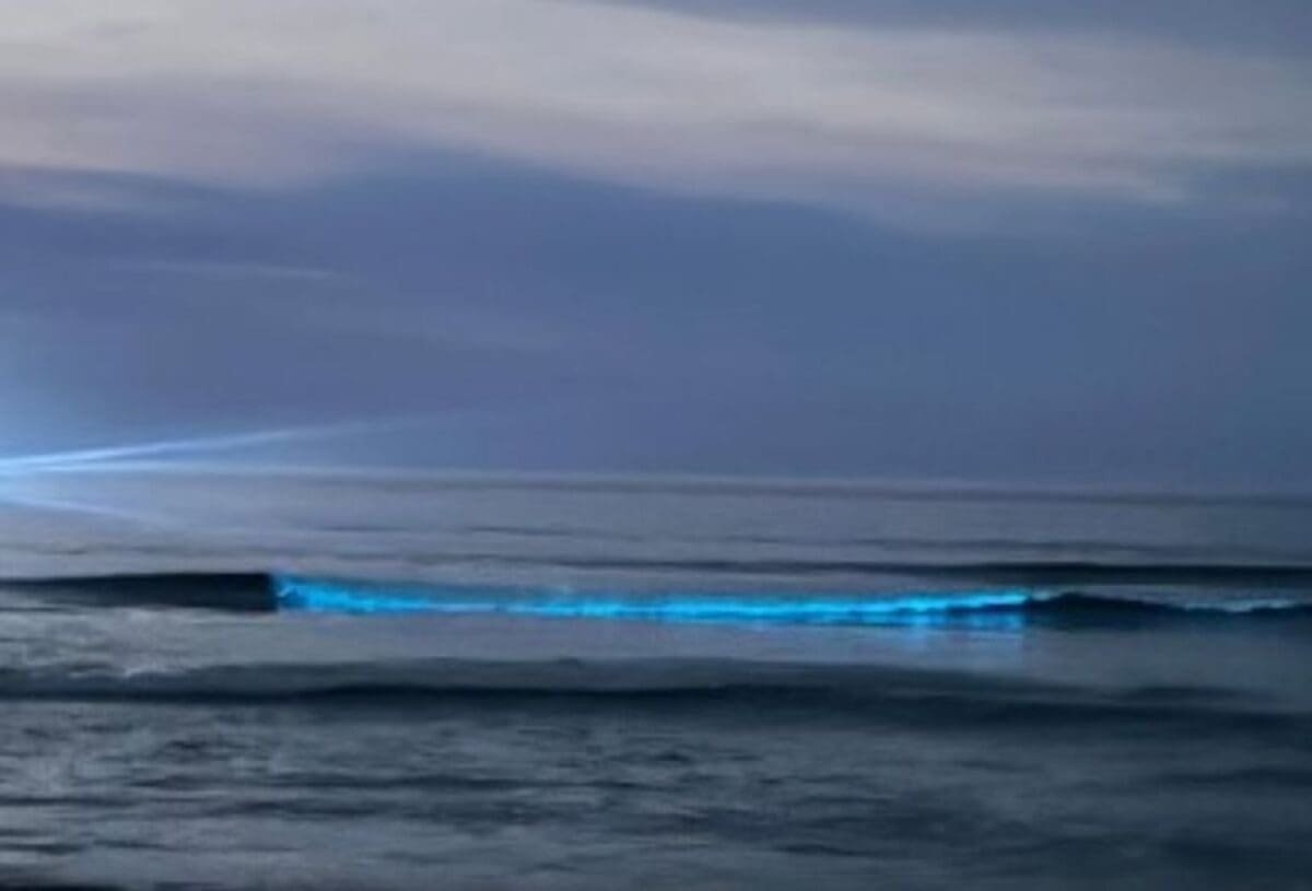 Fenômeno da bioluminescência é registrado na Praia Grande, em Arraial do Cabo-RJ