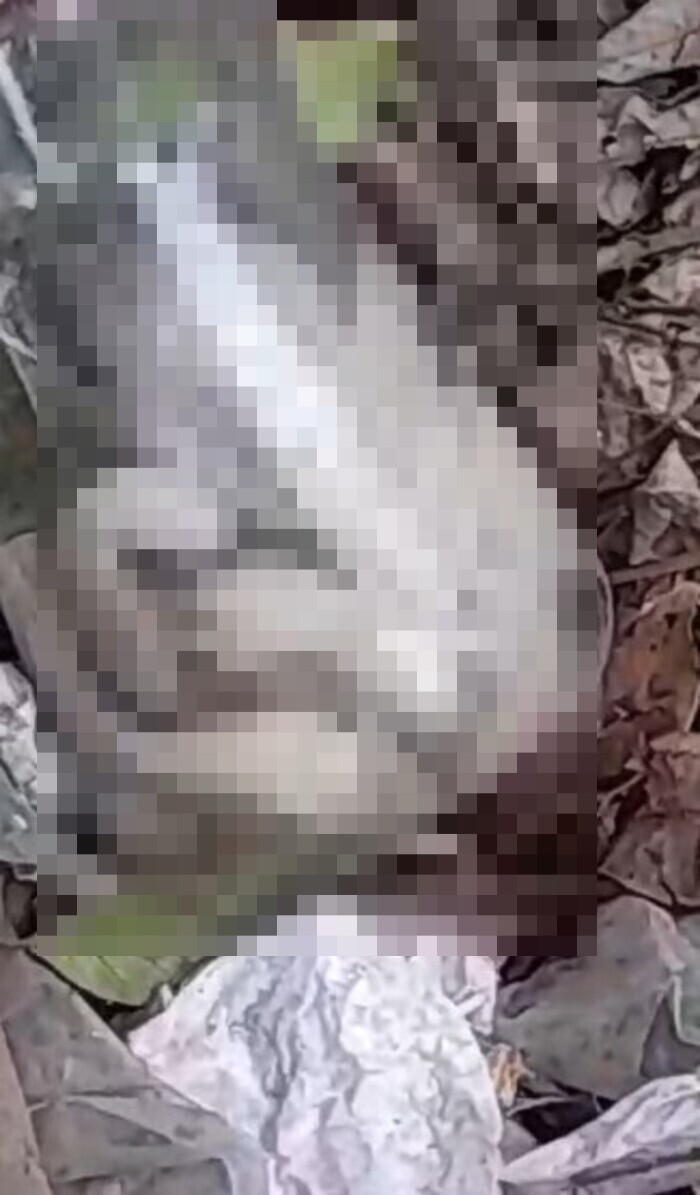 Feto é abandonado em Nova Iguaçu