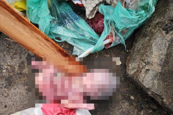 Feto humano é abandonado na Vila Kenedy, no Rio de Janeiro