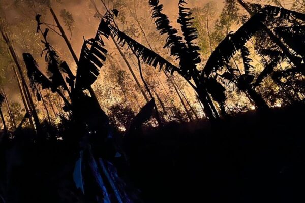 Fogo avança em Lumiar - distrito de Nova Friburgo (4)