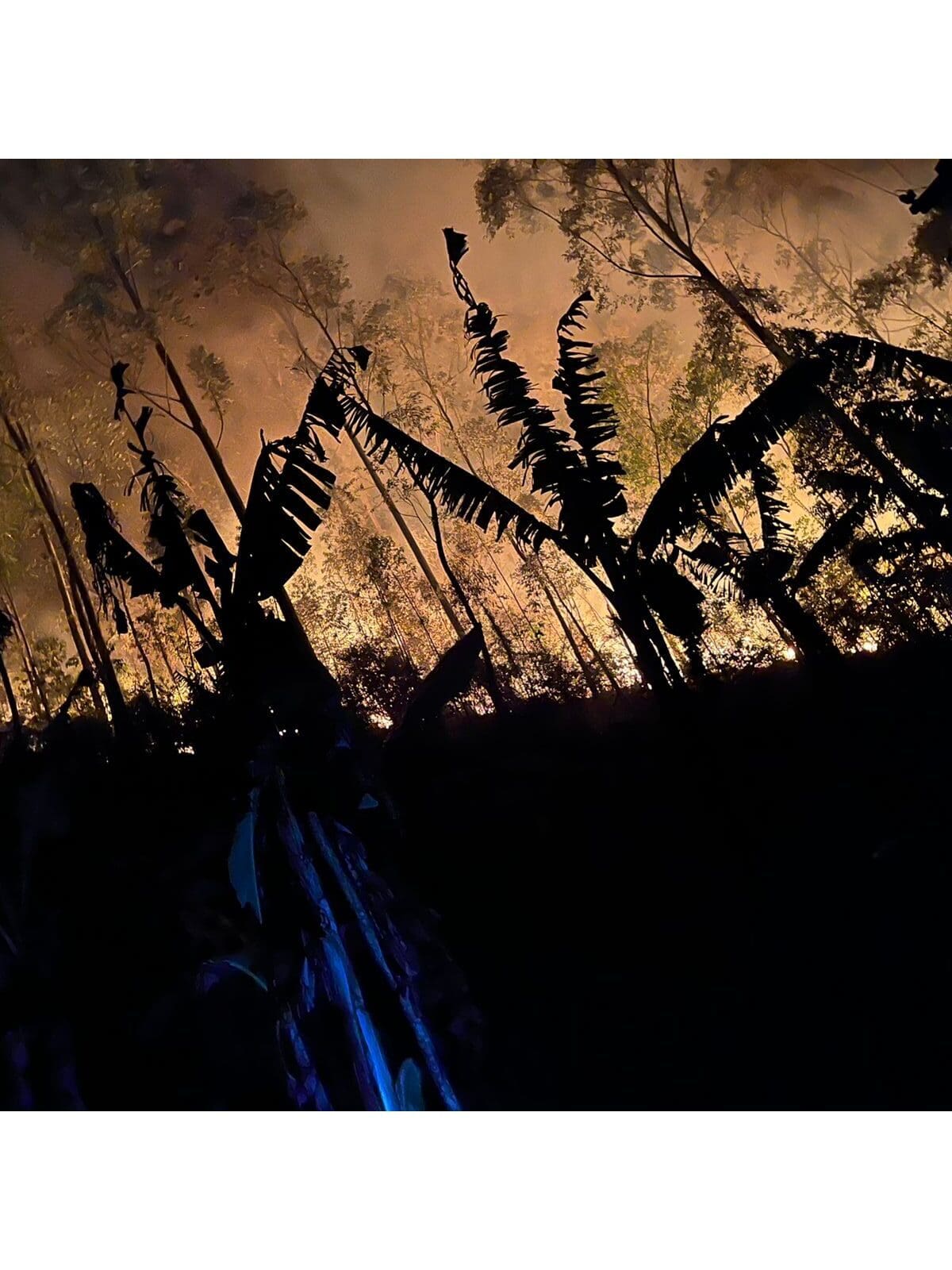 Fogo avança em Lumiar - distrito de Nova Friburgo (4)