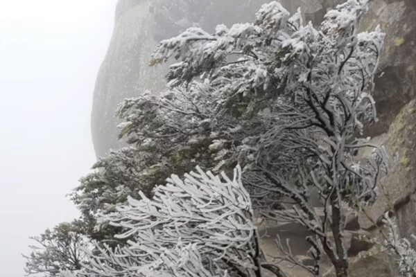 Frio intenso no Estado do Rio de Janeiro - Geada Itatiaia-RJ Foto 2022