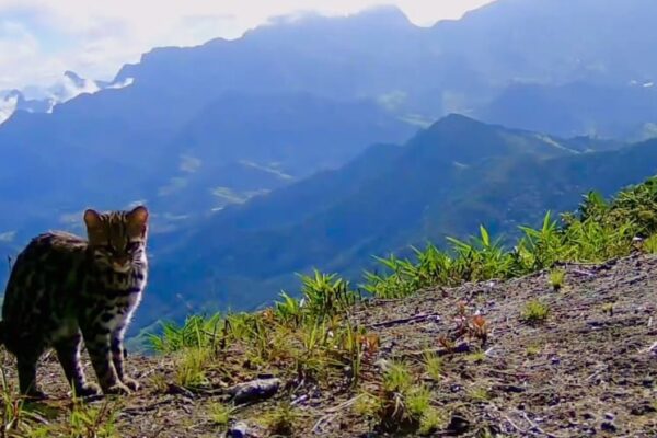 Pico da Caledônia, em Nova Friburgo, é um dos locais malis altos e bonitos do estado