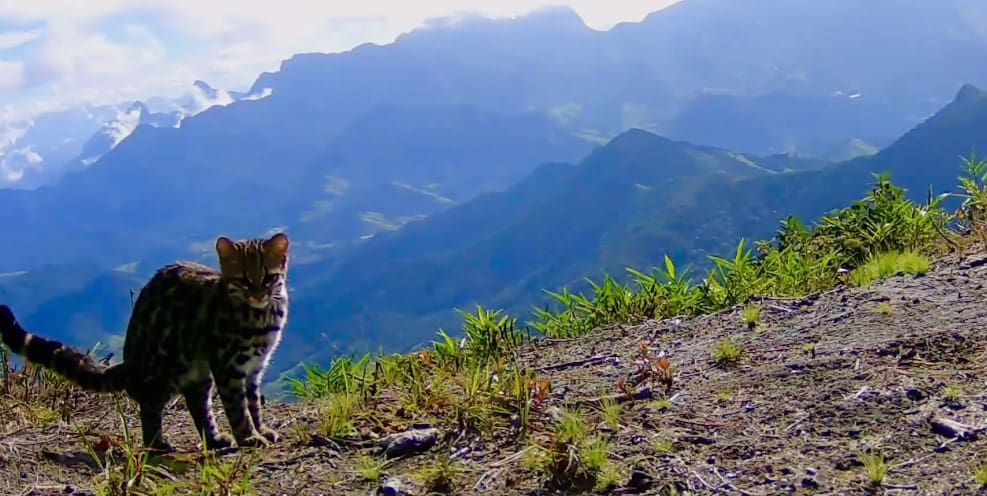 Pico da Caledônia, em Nova Friburgo, é um dos locais malis altos e bonitos do estado