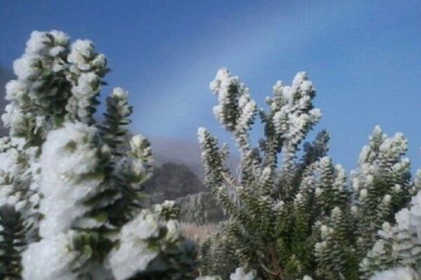 Geada em 2021 no Parque Nacional de Itatiaia-RJ - Cidade foi a mais fria deste 19 de julho