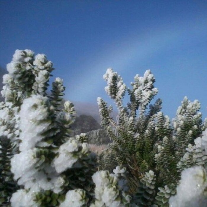 Geada em 2021 no Parque Nacional de Itatiaia-RJ - Cidade foi a mais fria deste 11 de julho