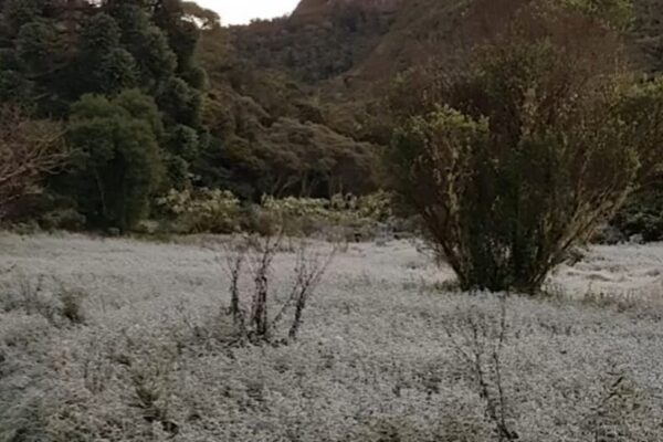 Campo coberto por gelo, após geada em Nova Friburgo
