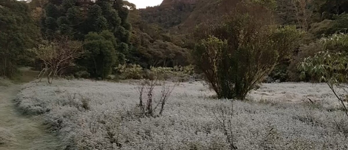 Campo coberto por gelo, após geada em Nova Friburgo