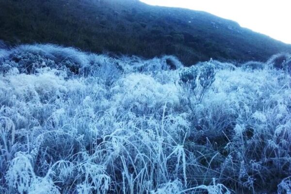 Geada no Parque Nacional de Itatiaia atrai turistas a procura de frio - Arquivo - Cesar Caffe Divulgação