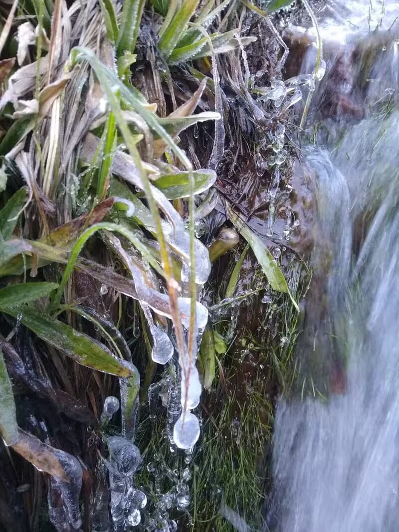 Geada no Parque Nacional de Itatiaia-RJ em agosto de 2024