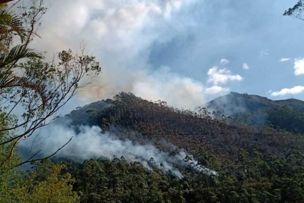 Grande incêndio em mata próximo a Mury