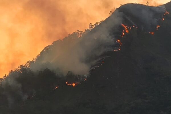 Grande incêndio toma conta do Morro da Cruz em Nova Friburgo - Imagens cedidas pelo perfil Black Boys Delivery