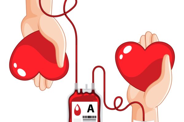 Doação de Sangue no Hemocentro de Nova Friburgo vai até às 11h30