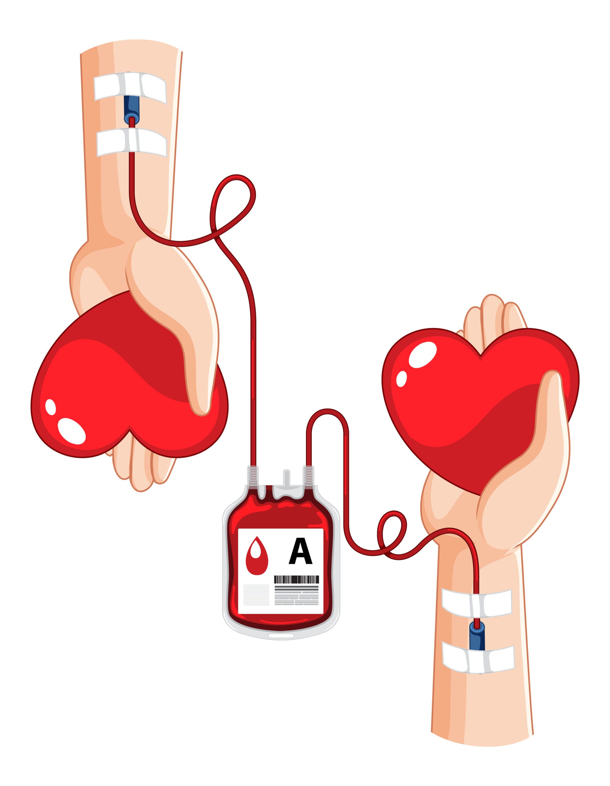 Doação de Sangue no Hemocentro de Nova Friburgo vai até às 11h30