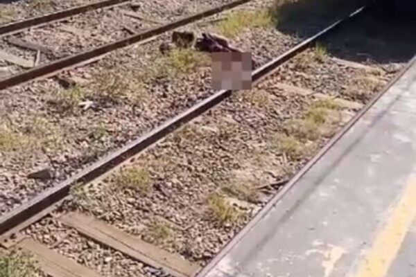 Homem é Atropelado por trem e agoniza em estação Guilherme da Silveira, no Rio de Janeiro