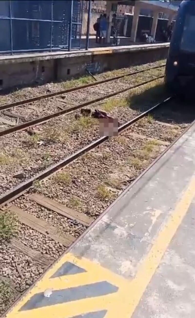Homem é Atropelado por trem e agoniza em estação Guilherme da Silveira, no Rio de Janeiro