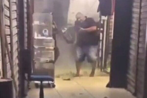 Homem escapa por pouco de ser atingido por árvore na Uruguaiana, camelódromo do Rio de Janeiro