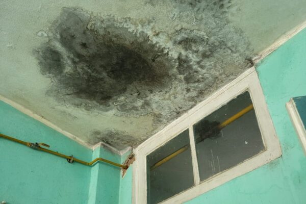 Setor do Hospital Municipal Raul Sertã com mofos e infiltração