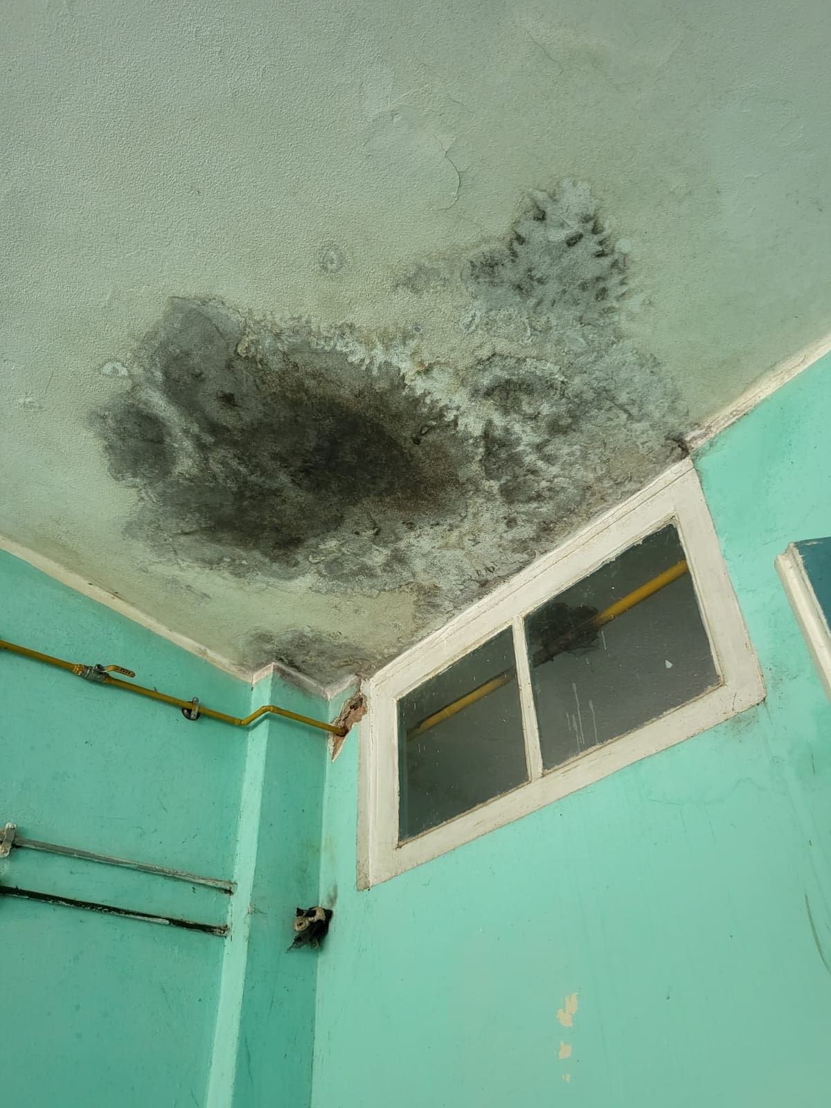 Setor do Hospital Municipal Raul Sertã com mofos e infiltração