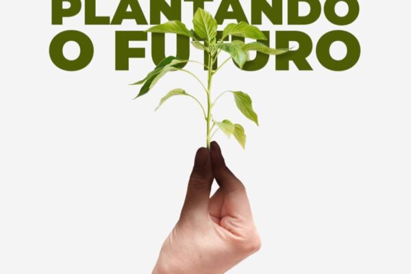 Impulse lança meias e de quebra oferece sementes de margarida para replantio (2)