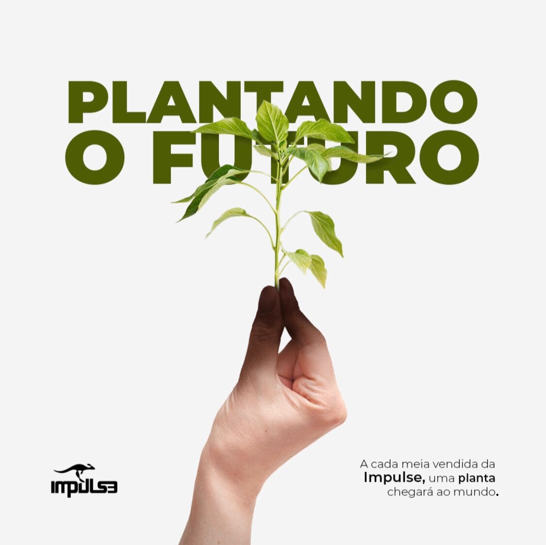 Impulse lança meias e de quebra oferece sementes de margarida para replantio (2)